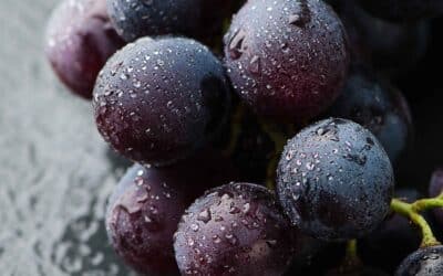 The Rise of Black Seedless Table Grapes in Australia: A Growing Trend